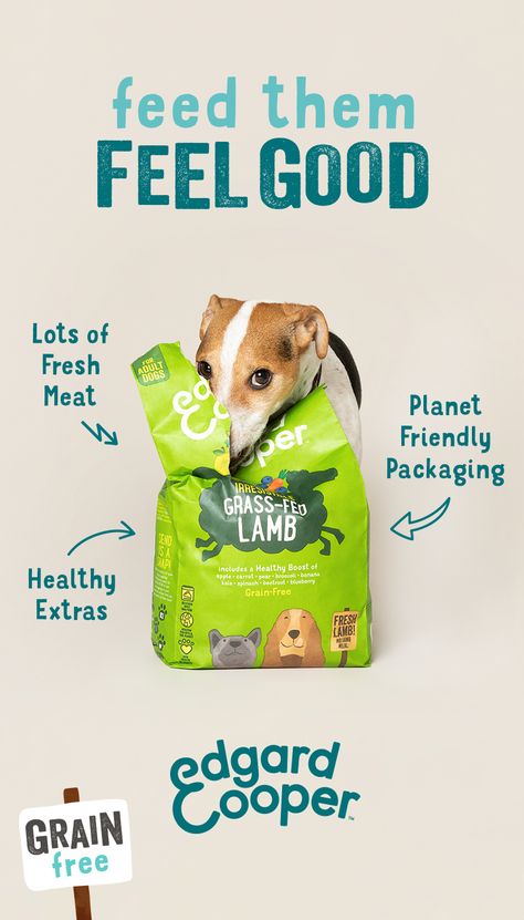 Dog Food Ad Campaign, Dog Food Marketing, Dog Food Advertisement, Dog Food Social Media, Dog Food Design, Pet Food Design, Dog Food Packaging Design, Dog Food Packaging, Dog Brands