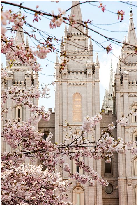 Utah Wedding Photographer | Salt Lake LDS Temple | Temple Wedding | Modest Bride | Salt Lake Wedding Photographer | Lds Temple, Cherry Blossoms, Temple, Salt, Cherry, Lake, Building