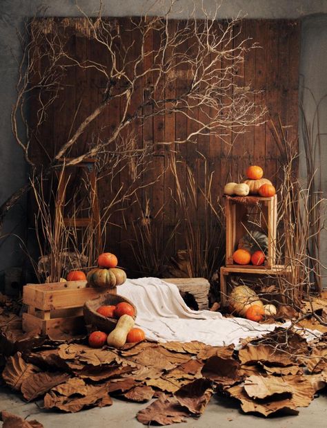 Fall Mini Shoot, Ruangan Studio, Photo Studio Design, Photography Studio Decor, Photography Studio Design, Fall Home Decor Ideas, Fall Backdrops, Halloween Photo Booth, Photoshoot Backdrops