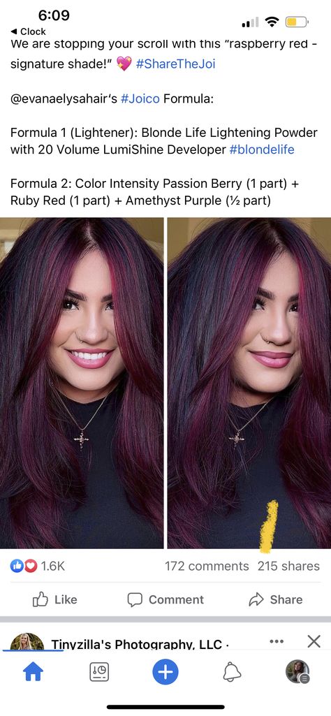 Joico Amethyst Purple, Violet Red Hair Color Formula, Pravana Magenta Hair, Redken Plum Hair Color Formula, Plum Hair Formula, Plum Hair Color Formula, Red Violet Hair Color Formulas, Burgundy Hair Formula, Plum Ombre Hair