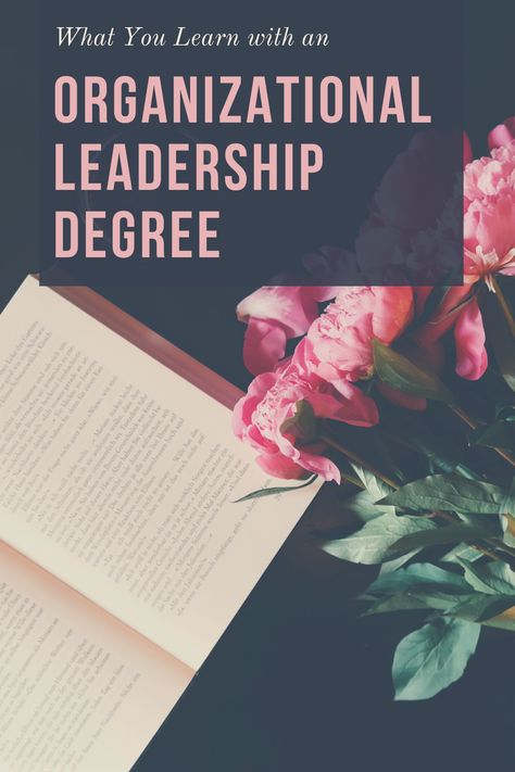 Discover what you could learn with an Organizational Leadership degree designed for adult students.  #backtoschool #college Academic Advice, Organizational Communication, Free Followers On Instagram, Technical Communication, Gain Instagram Followers, Organizational Leadership, Interpersonal Communication, Organizational Behavior, Leadership Is