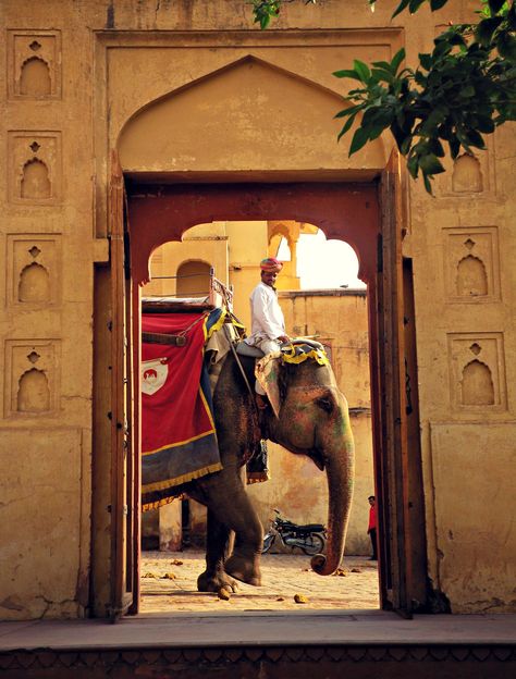 Adventure India, India Travel Photography, Hindu Architecture, Tac Mahal, Amber Fort, Elephant Ride, Amazing India, Indian Colours, Colour Photo