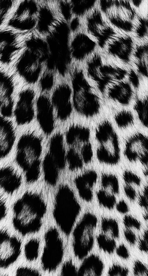 Fall Collage, Leopard Print Wallpaper, Cheetah Print Wallpaper, Animal Print Wallpaper, Animal Print Pattern, Simple Iphone Wallpaper, Iphone Wallpaper Photos, Iphone Prints, Printed Backgrounds