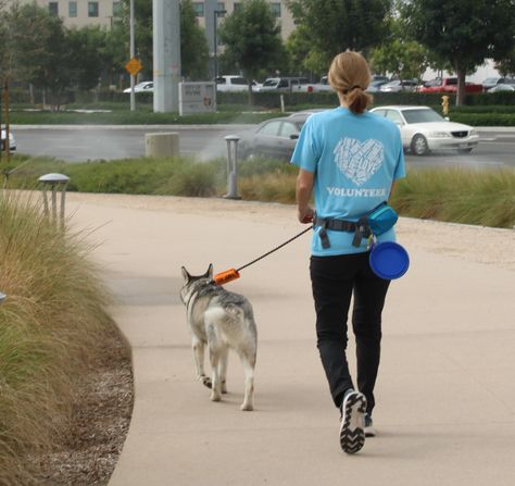 Volunteering At Animal Shelter, Volunteering Animal Shelter, Volunteer With Animals, Shelter Volunteer Aesthetic, Animal Volunteer Aesthetic, Animal Shelter Volunteer Aesthetic, Volunteering Animals, Animal Volunteering, Animal Shelter Aesthetic