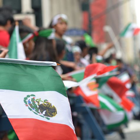 NYC's Mexican Day Parade celebrates Mexican Independence on Madison Avenue, Sunday. ¡Viva México! 🇲🇽 #Mexican #NYCParade Independence Day Parade, Mexican Independence Day, Mexican Independence, Mexican American, Mexican Culture, Madison Avenue, Freelance Photographer, She Song, Dallas Texas