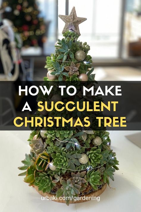 Succulent Arrangements Christmas, Christmas Tree Succulents Diy, Christmas House Plants Decorating Ideas, Succulent Xmas Tree, Succulents Christmas Tree, Holiday Succulent Ideas, How To Arrange Succulents In A Pot, Succulent Christmas Tree Diy How To Make, Christmas Tree Succulents