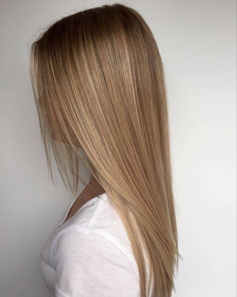 Tmavý Blond, Root Stretch, Rambut Brunette, Summer Blonde Hair, Dirty Blonde Hair, Honey Blonde Hair, Brown Hair Balayage, Dark Blonde Hair, Blonde Hair Inspiration