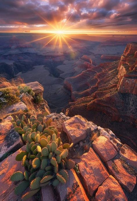 Grand canyon Grand Canyon Aesthetic, Arizona Canyons, Canyon Aesthetic, Dream Roadtrip, Melanie Moreland, Grand Canyon Photography, Project 2025, Trip To Grand Canyon, Country Fences