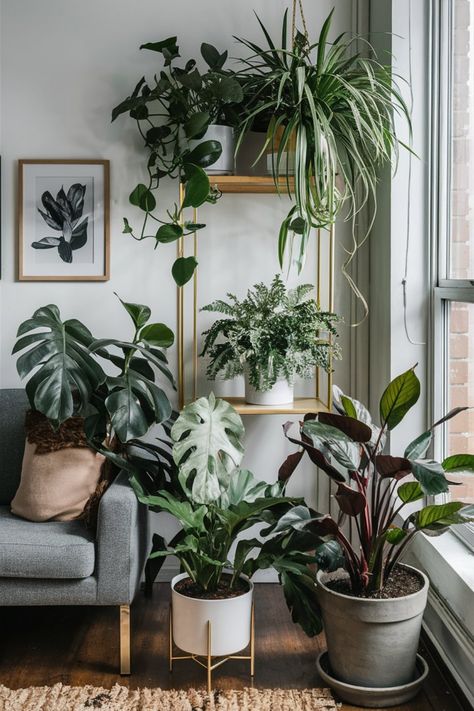 Ensure your apartment plants thrive by choosing the right potting mix with these helpful tips. #ApartmentPlants #PottingMix Plant Living Room Aesthetic, Plant Interior Design, Sunny Living Room, Plant Decor Living Room, Living Room Plants Decor, Living Room Interior Design Ideas, Room Interior Design Ideas, Houseplant Care, Dark Modern