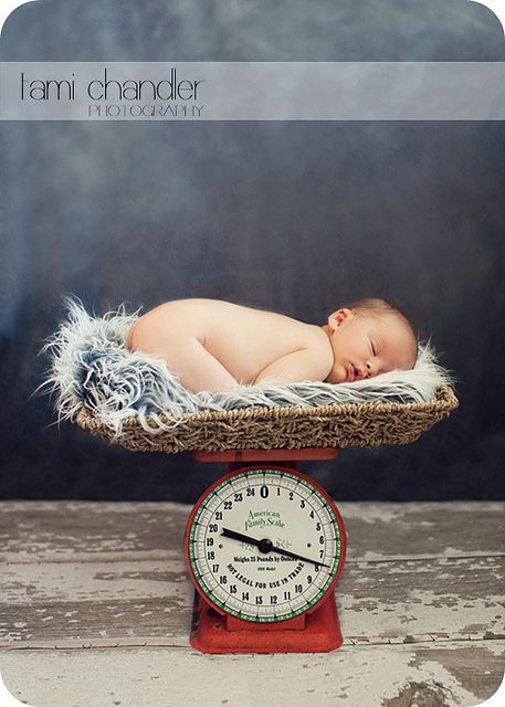 newborn on scale Scale Pictures, Old Scale, Wall Art Portrait, Baby Inside, Newborn Photography Poses, Vintage Scale, Baby Poses, Newborn Posing, Best View