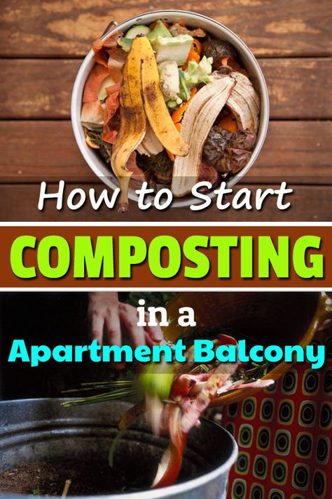 Apartment Composting, How To Start Composting, Start Composting, Make Compost, Composting 101, How To Compost, Garden Cactus, Compost Tumbler, Diy Compost