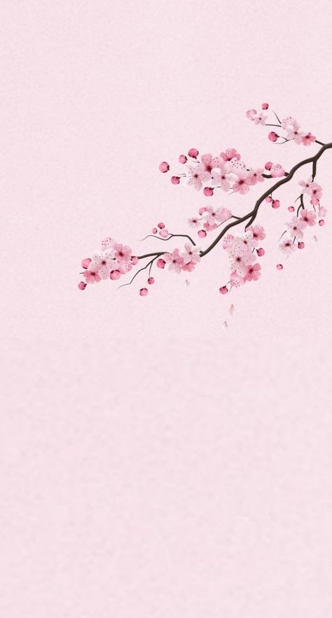 Cherry Blooms Wallpaper, Iphone Wallpaper Cherry Blossom, Pink Aesthetic Flowers Wallpaper, Aesthetic Wallpaper Cherry Blossom, Cherry Blossom Lockscreen, Iphone Wallpaper Sakura, Sakura Blossoms Wallpaper, Sakura Wallpaper Aesthetic, Pink Japanese Wallpaper