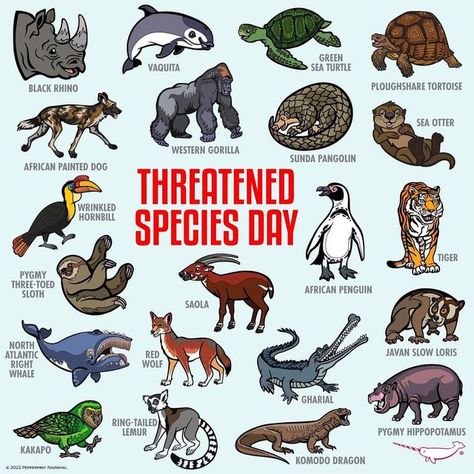 Element Animals, Sunda Pangolin, Peppermint Narwhal, Endangered Species Art, Playgroup Ideas, Pygmy Hippopotamus, 10 Animals, Extinct Species, Slow Loris