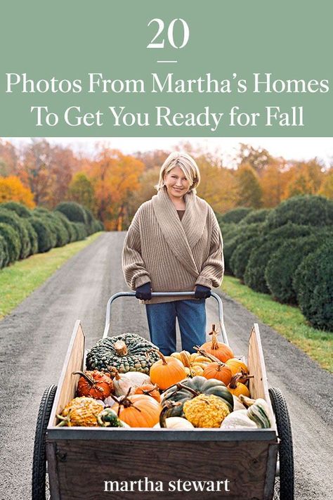 To help you welcome the arrival of fall, we're turning to Martha for all of our autumnal inspiration and will inspire you to add these fall ideas to your autumn to-do list. #marthastewart #fall #fallleaves #autumn Martha Stewart Fall, Outdoor Fall Decor Ideas, Harvest Decor, Thanksgiving Inspiration, Fun Fall Activities, Home Decor Ideas Living Room, Fall Arrangements, Fall Bucket List, Fall Table Decor