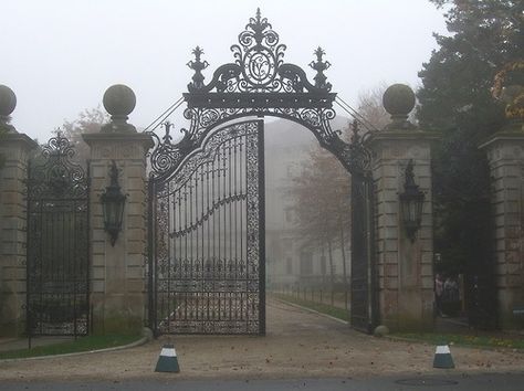 Gothic Victorian black iron gate #fence Eleanor Rigby Aesthetic, Donna Beneviento Aesthetic, Lady Beneviento, Angie Beneviento, Graveyard Gate, Boarding School Aesthetic, Wammy's House, 2024 Bedroom, Eleanor Rigby