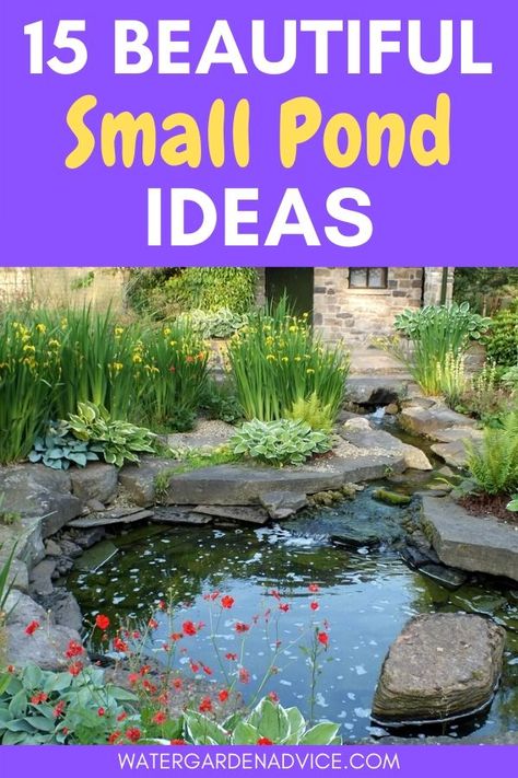 Small backyard pond ideas - Even if you have a tiny backyard you can still install a small pond. Here are some beautiful pond ideas to get your started. #pond #gardenpond #backyardpond Landscape Around Pond, Koi Ponds Backyard, Water Ponds Ideas Backyards, Small Garden Ponds Ideas, Pond Shapes, Backyard Ponds And Waterfalls, Garden Ponds Ideas, Small Backyard Pond, Backyard Interior