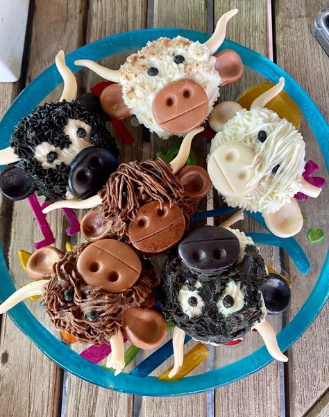 Bull Cupcakes Ideas, Longhorn Themed Party, Cow Themed Charcuterie Board, Western Birthday Party Sweet 16, Longhorn Birthday Cake, Cowboy Birthday Cupcakes, Fluffy Cow Cupcakes, Longhorn Birthday Party, Western Sweet 16 Decorations