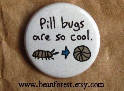 pill bugs are so cool  pinback button badge by beanforest on Etsy,      We call them Rolly Pollys! Pill Bugs, Pill Bug, Cool Bugs, Cool Pins, Button Badge, Pinback Button, Love Bugs, A Button, Cute Pins