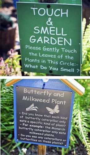 Garden center signs School Garden Club, Horticulture Therapy, Preschool Garden, Outdoor Learning Spaces, Milkweed Plant, Sensory Garden, Children's Garden, School Playground, Natural Playground