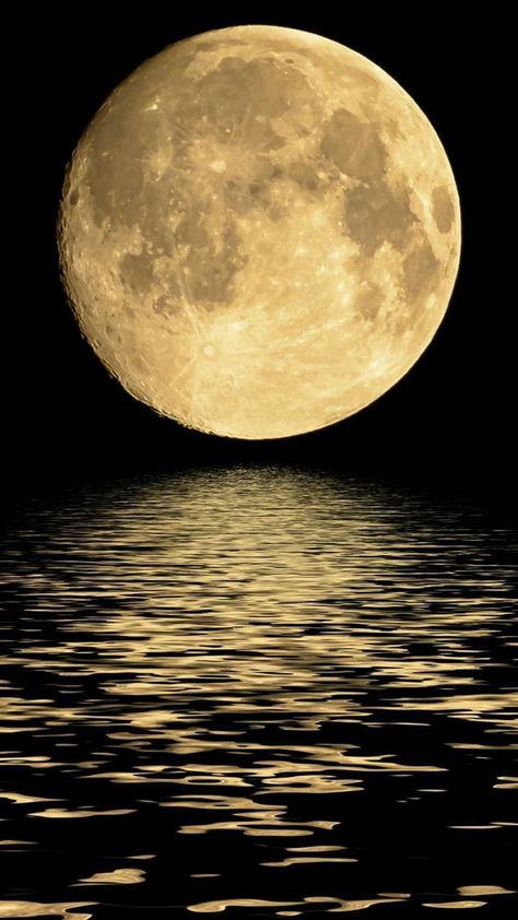 Full Moon Pictures, Full Moon Photography, Moon Over Water, Beautiful Moon Pictures, Moon Day, The Sun And Moon, Moon Images, Shoot The Moon, Moon Photos