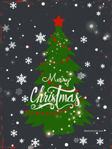 Pics For Status, Christmas Wishes Gif, Merry Christmas Gif Images, Animation Pics, Gif Photos, Animated Christmas Pictures, Xmas Gif, Merry Christmas Animation, Christmas Animation