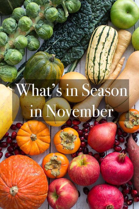 November Produce In Season, November Produce, Squash Delicata, Fruits Recipes, Roasted Sprouts, Acorn Squash Recipes, Farmers Market Recipes, Seasoned Veggies, Whats In Season