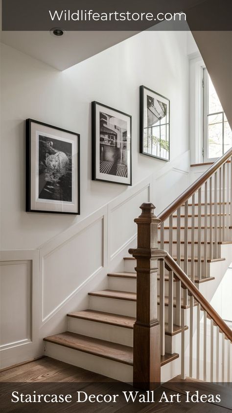 Office Staircase Decor Wall Art Ideas Stair Photo Walls, Stairway Picture Wall, Office Staircase, Stairway Pictures, Framed Drawings, Gallery Wall Lighting, Gallery Wall Stairs, Decorating Stairway Walls, Stairway Gallery Wall