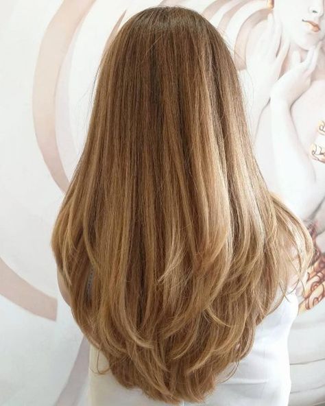 34 Cutest Long Layered Haircuts Trending Right Now 90s Layers Back View, Haircut For School Going Girl, Light Layers For Medium Length Hair, Light Layering Haircut, Long Layered Light Brown Hair, Long Layered Hair Front View, Light Layers Haircut, Light Brown Hair Layers, Haircut Inspo Long Hair