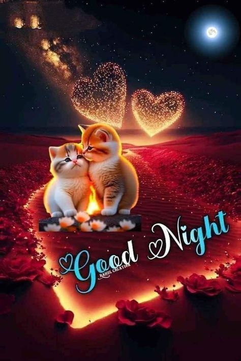 Beautiful Good Night Messages, Good Night For Him, Good Morning Rose Images, Nice Good Morning Images, Good Night Friends Images, Good Night Cat, New Good Night Images, Good Morning Sweetheart Quotes, Good Night Images