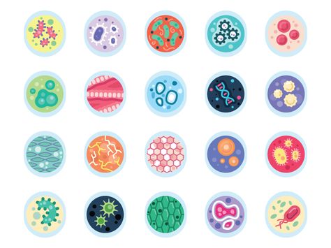 Cells Cell Illustration Biology, Cell Biology Art, Cell Aesthetic, Cells Illustration, Cell Illustration, Cell Art, Avatar Illustration, Cell Design, Science Display