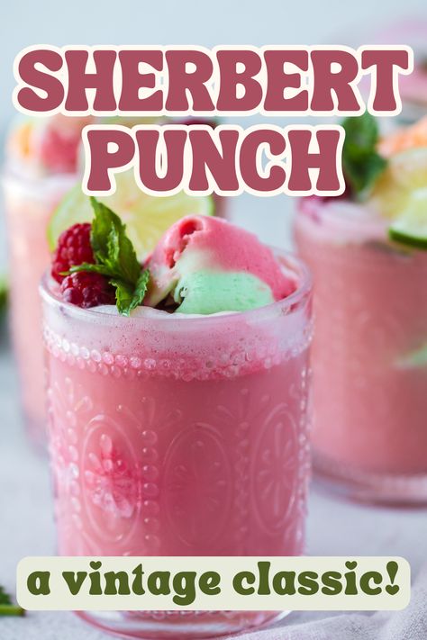 This sherbet punch recipe is an old-school Southern classic, perfect for the special occasions in your life. Filled with fizzy lemon-lime soda and creamy sherbet, it’s sweet, tangy, and creamy. Southern Punch Recipes, Pastel Punch Recipe, Alcohol Sherbert Punch, Cheerwine Punch Recipe, Cranberry Sherbet Punch, Holiday Punch With Sherbert, Christmas Sherbet Punch Recipes, Holiday Punch With Sherbet, Raspberry Sherbert Punch Recipes