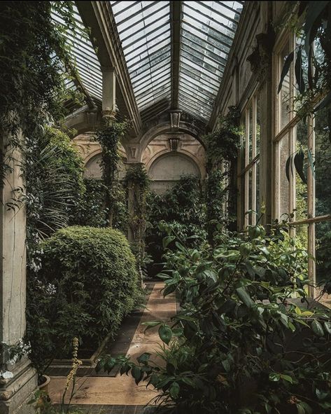 castle ashby, northamptonshire united kingdom | plants, greenery, castle, greenhouse, dark academia cottagecore Green Academia, Dark Naturalism, Dark Green Aesthetic, Hogwarts Aesthetic, Slytherin Aesthetic, Dark Academia Aesthetic, Academia Aesthetic, Old Building, Nature Aesthetic