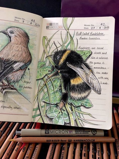 Woman Decides To 'Record' The Things She's Discovering, Starts A Journal To Illustrate The Natural World | Bored Panda Kunstjournal Inspiration, Botanical Sketchbook, Field Journal, Nature Sketch, Sketchbook Art Journal, Nature Drawing, Arte Sketchbook, Sketchbook Inspiration, Nature Journal