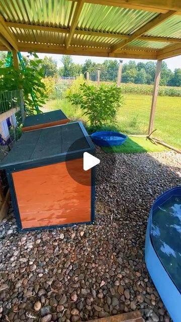 Keeping Ducks Cool In Summer, How To Make A Duck House, Large Duck Coop, Duck And Chicken Coop Together Ideas, Duck Area In Backyard, Duck Coop Ideas Diy Cheap, Pet Duck Enclosure, Duck Coop Accessories, Duck Coop Flooring Ideas