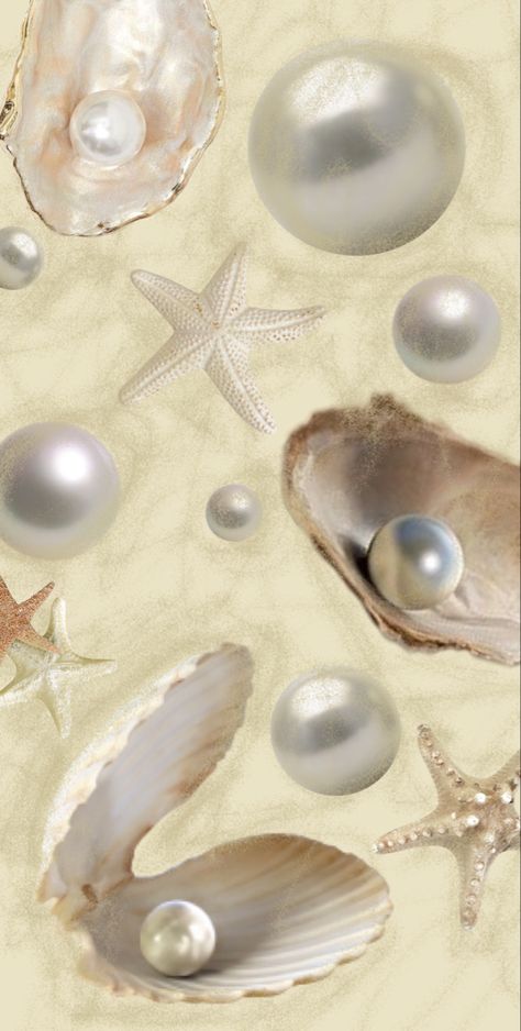 Shells Wallpaper Iphone, Sea Shell Wallpaper Iphone, Shell Wallpaper Aesthetic, Pearl Lockscreen, Seashell Wallpaper Aesthetic, Shell Iphone Wallpaper, Coquette Summer Wallpaper, Shell Wallpaper Iphone, Beige Art Wallpaper