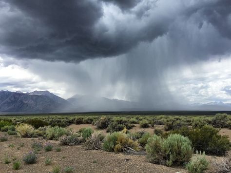 8 games for weather patterns, based on NGSS standards. Engage students with curricula games on the water cycle and weather patterns. Art Landscape Ideas, Sky Reference, Dragons Edge, Tarnished Gold, Ghost Ranch, Red Desert, Storm Photography, World Inspiration, Salmon Run