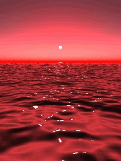 De-NILE IS NOT an EXCUSE ... NOW is the TIME for SALVATION ... Pixel Kawaii, Girl Animation, I See Red, Red Sunset, Rainbow Aesthetic, Photo Wall Collage, Red Sky, Aesthetic Colors, Red Wallpaper