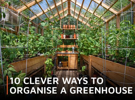 Make the most of every inch of space in your greenhouse - the more organised you are, the more productive you will be. Clever storage is vital. Here are 10 practical ideas to transform your garden greenhouse into a functional space in which it's a pleasure to spend time. Happy gardening! 1. Zoning Keep vegetables to on Greenhouse Kitchen, Greenhouse Vegetables, Outdoor Greenhouse, Planting Calendar, Garden Organization, Large Greenhouse, Polycarbonate Greenhouse, Home Greenhouse, Wooden Greenhouses