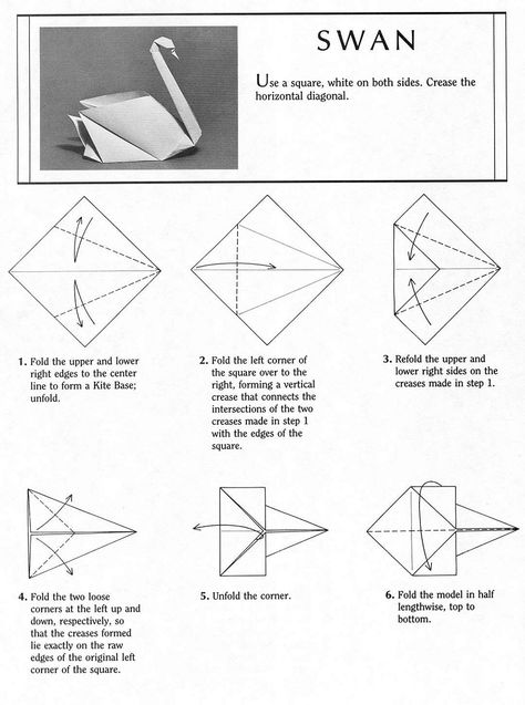 Origami Hard, Origami Bird Easy, Swan Origami, Origami Hummingbird, 3d Origami Swan, Paper Swan, Origami Tutorial Easy, Paper Folding Crafts, Origami Swan