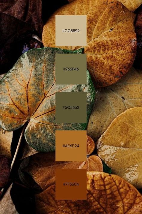 Jade Color Palette Colour Schemes, Pantone Color Palette Fall Winter 2023, Colour Mood Boards, Safari Color Palette, Khaki Color Palette, 2024 Color Palette, Spring Color Palettes, Eclectic Color Palette, Fall Color Pallet