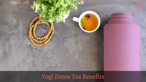 Yogi Detox Tea Benefits, Detox Tea Benefits, Tea Before Bed, Natural Diuretic, Ayurvedic Healing, Dandelion Root, Herbal Tea Blends, Detoxify Your Body, Tea Benefits