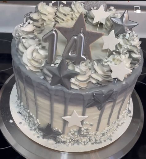 Silver Birthday Aesthetic, Y2k Cakes, Euphoria Cake, Star Birthday Theme, Star Theme Cake, Birthday Party Ideas Winter, Star Shaped Cake, Kpop Cake, Gray Cake