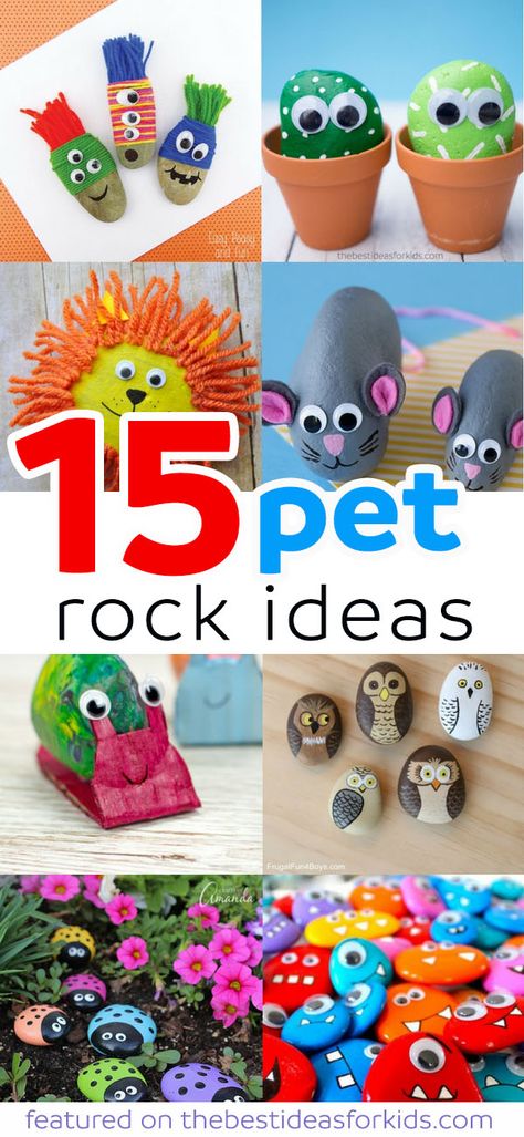 15 Fun Pet Rock Ideas perfect for the kindness project, painted rock ideas, rock hunting hide and seek, painted rocks how to, and so many great painted rock idea! via @bestideaskids Easy Pet Rocks Ideas, 1970s Crafts Ideas, Pet Rocks Ideas, Pet Rock Ideas, Pet Rocks Craft, Rock Pets, Summer Countdown, Carton Craft, Pebble Crafts