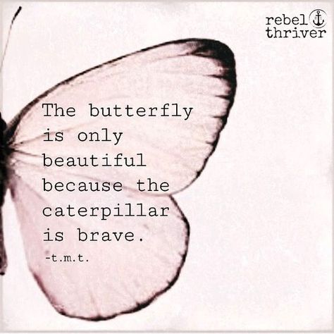 Fairy Quotes, Meaningful Sayings, Imagination Quotes, Butterfly Quotes, Blog Ideas, Boss Quotes, Uplifting Messages, House Furniture, Butterfly Wallpaper