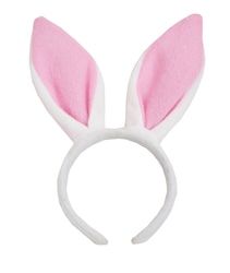 easter bunny ears isolated on white background Easter Costume, Bunny Ears Headband, Alice In Wonderland Costume, Easter Bunny Ears, Wonderland Costumes, Bunny Costume, Pink Parties, Rabbit Ears, Bunny Ears