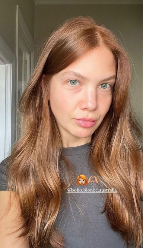 Copper Brown Hair On Pale Skin, Barely Red Hair, Hair Colours Pale Skin, Dirty Blonde Strawberry Hair, Ginger To Brown Hair, Jaci Marie Smith Hair, Rosy Copper Hair Color, Strawberry Blonde On Brown Hair, Strawberry Brown Hair Color