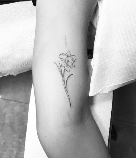 No my work Hay Tattoo, Mila Tattoo, Daffodil Tattoo Design, Month Tattoos, Narcissus Flower Tattoo, Narcissus Tattoo, Flower Tattoo Meaning, Daffodil Flower Tattoos, Narcissus Flower Tattoos