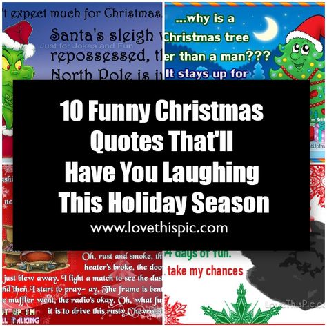 10 Funny Christmas Quotes That'll Have You Laughing This Holiday Season Silly Christmas Quotes, Happy Holidays Quotes Funny, Funny Christmas Poems Hilarious, Dark Christmas Humor Hilarious, Christmas Funnies Humor, Snarky Christmas Quotes, Christmas Break Quotes, Xmas Quotes Funny, Sayings And Quotes Funny