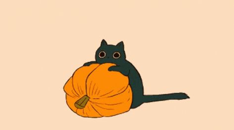 Halloween Kitty GIF - Halloween Kitty Pumpkin - Discover & Share GIFs Halloween Gifs Anime, Orange Gif, Debbie Balboa, Autumn Gif, Poor Life, Halloween Gifs, Contemplating Life, Spooky Cat, Chat Halloween