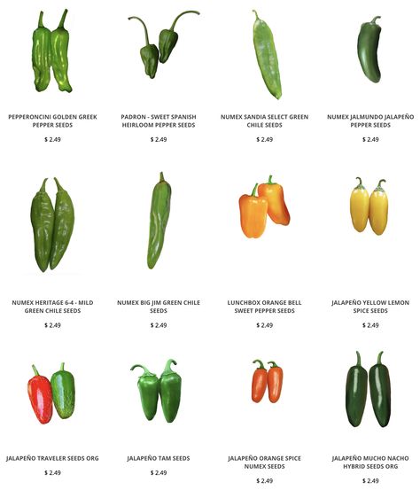 Fastest Growing Pepper Seeds Pepper Growing, Types Of Chili Peppers, Growing Peppers, Pepper Plants, Growing Seeds, Vegetable Gardening, Stuffed Sweet Peppers, Sweet Chocolate, Bell Pepper